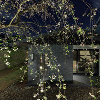 平屋・二世帯住宅 枝垂れ桜のある家 アーキッシュギャラリー
